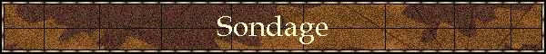 Sondage
